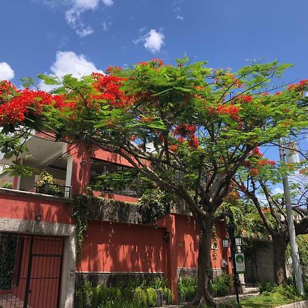 Hotel Arbol De Fuego San Salvador Eksteriør billede