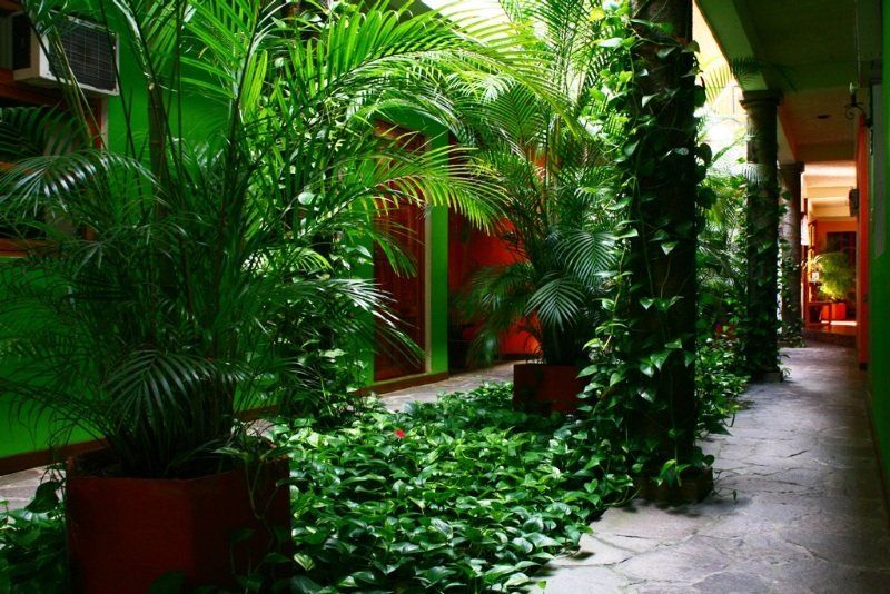 Hotel Arbol De Fuego San Salvador Eksteriør billede