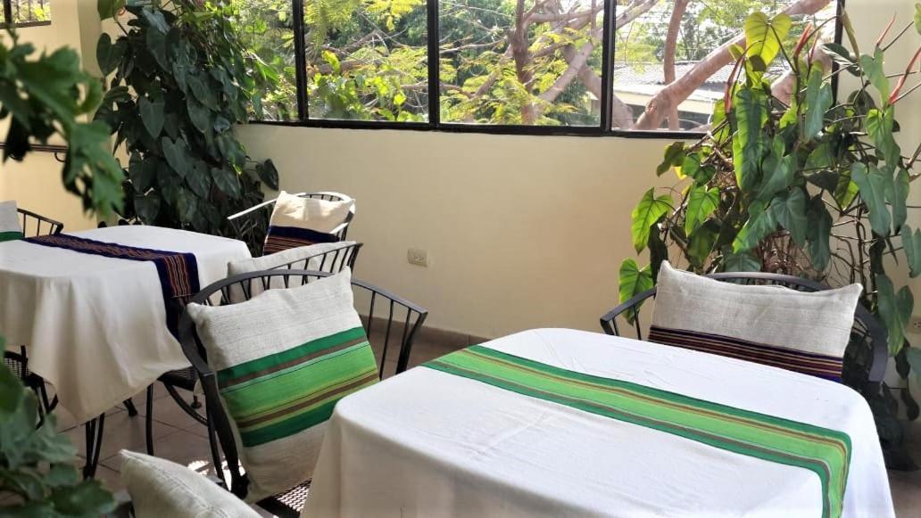 Hotel Arbol De Fuego San Salvador Eksteriør billede