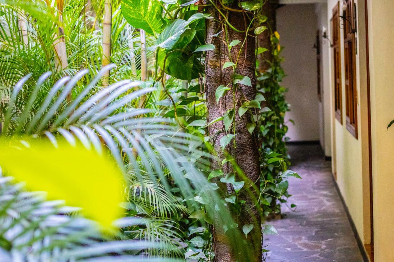 Hotel Arbol De Fuego San Salvador Eksteriør billede