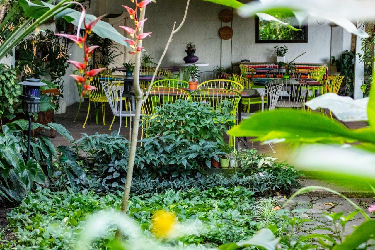 Hotel Arbol De Fuego San Salvador Eksteriør billede