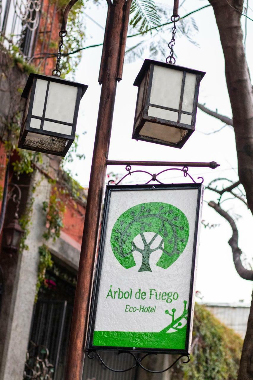 Hotel Arbol De Fuego San Salvador Eksteriør billede